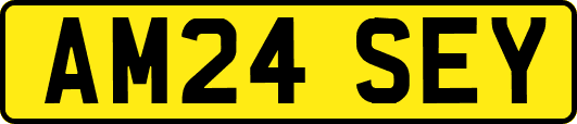 AM24SEY