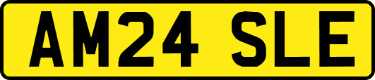 AM24SLE