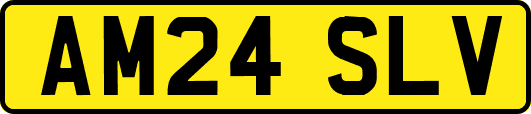 AM24SLV