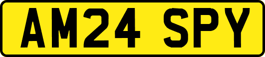 AM24SPY