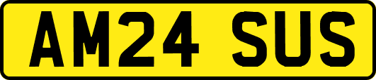AM24SUS