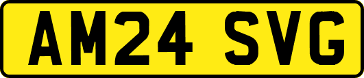 AM24SVG