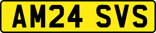 AM24SVS