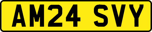 AM24SVY
