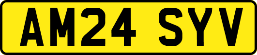 AM24SYV