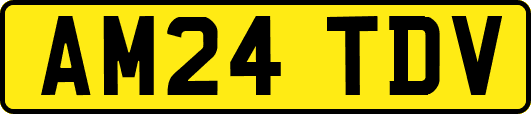 AM24TDV