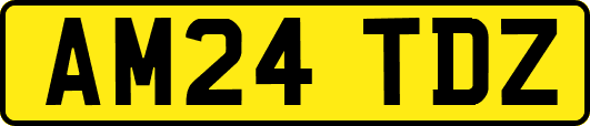 AM24TDZ