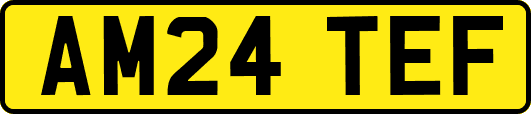 AM24TEF