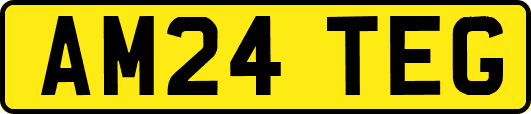AM24TEG