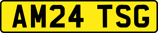 AM24TSG