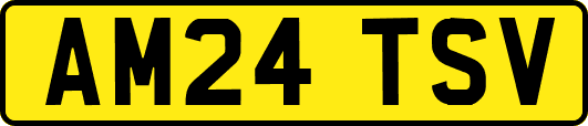 AM24TSV