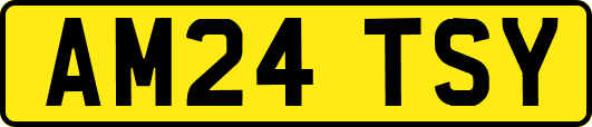 AM24TSY
