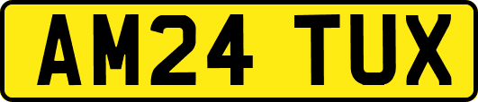 AM24TUX