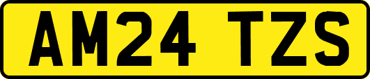 AM24TZS