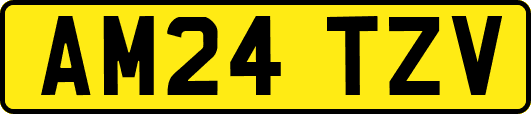 AM24TZV