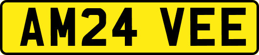 AM24VEE