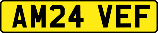 AM24VEF