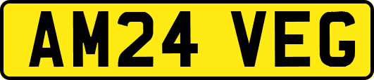 AM24VEG