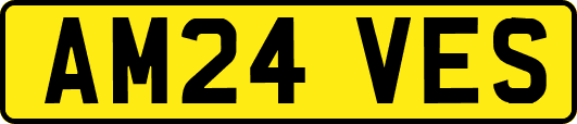 AM24VES