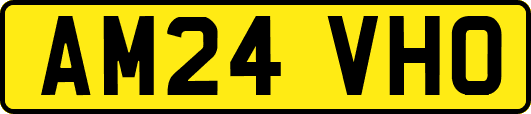AM24VHO