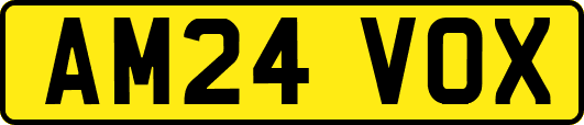 AM24VOX