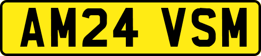 AM24VSM