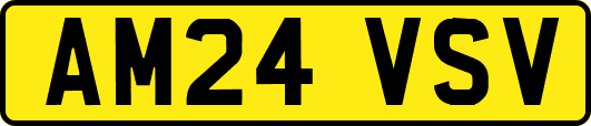 AM24VSV