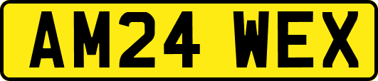 AM24WEX