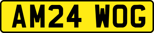 AM24WOG