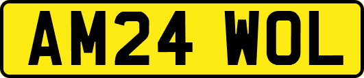 AM24WOL