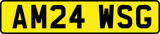 AM24WSG