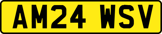 AM24WSV