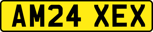 AM24XEX