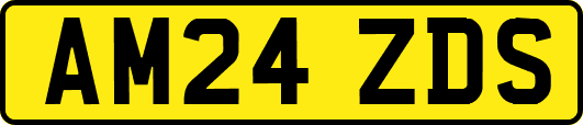 AM24ZDS