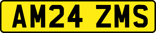 AM24ZMS