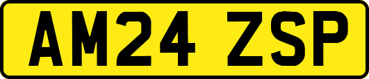 AM24ZSP