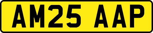 AM25AAP