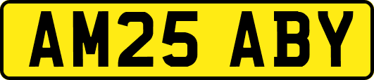 AM25ABY