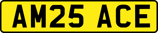 AM25ACE