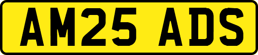 AM25ADS