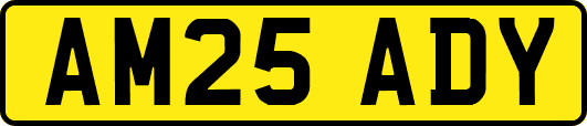 AM25ADY