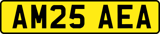 AM25AEA
