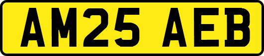 AM25AEB