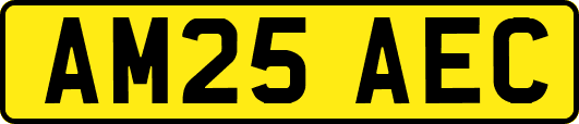 AM25AEC
