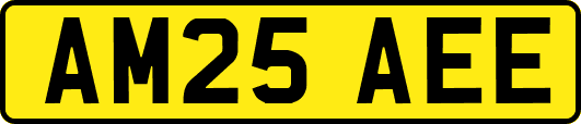 AM25AEE