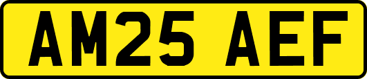 AM25AEF