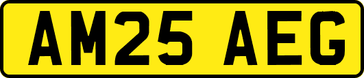 AM25AEG