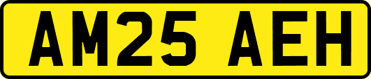 AM25AEH