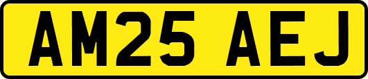 AM25AEJ