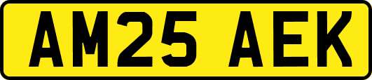 AM25AEK